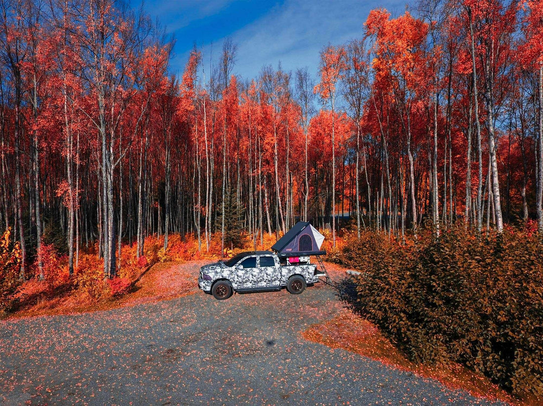 Colorado Fall|
