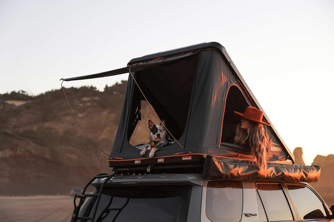 Introducing the Eye - The Roofnest with a View