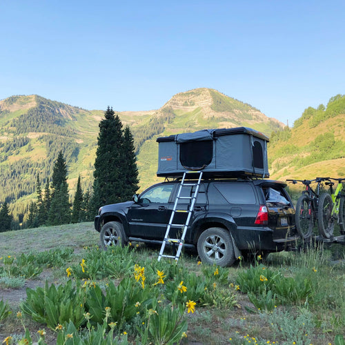 Roofnest photo contest blog|Roofnest photo contest blog