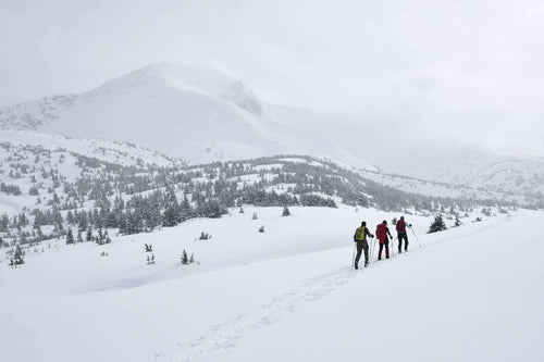 Backcountry Skiing