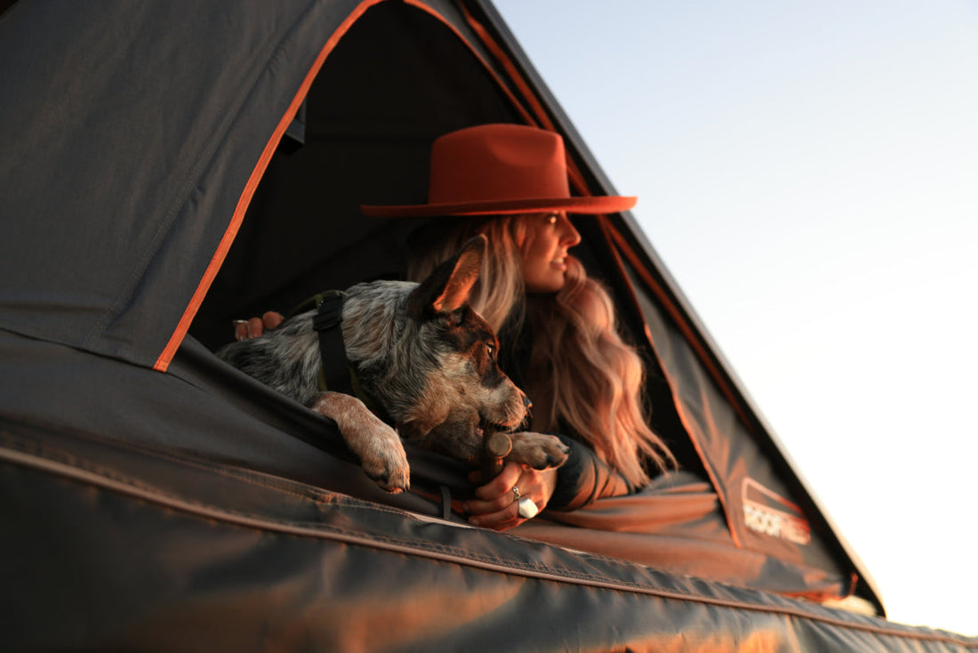 Camping with dogs in a hard shell roof top tent