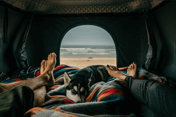 Roofnest Interior rooftop tent|Falcon Rooftop Tent Roofnest 4-Runner